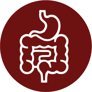 1744781687_Icon 17.png